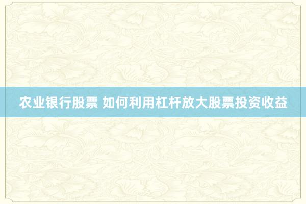 农业银行股票 如何利用杠杆放大股票投资收益