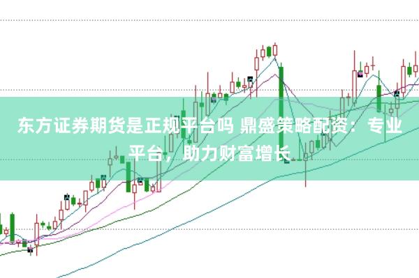 东方证券期货是正规平台吗 鼎盛策略配资：专业平台，助力财富增长