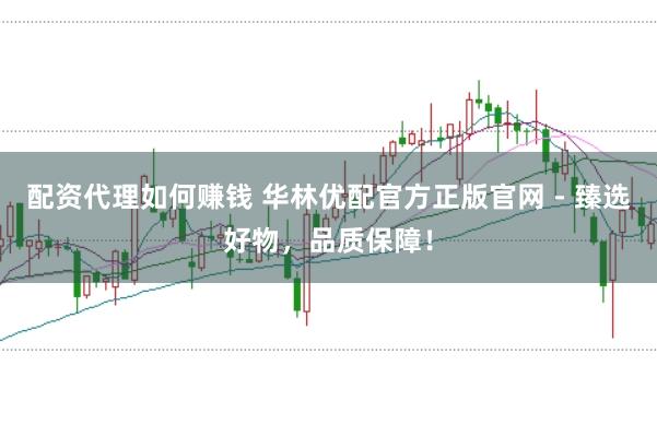 配资代理如何赚钱 华林优配官方正版官网 - 臻选好物，品质保障！