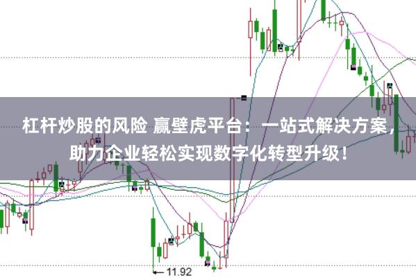 杠杆炒股的风险 赢壁虎平台：一站式解决方案，助力企业轻松实现数字化转型升级！