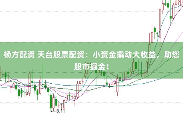 杨方配资 天台股票配资：小资金撬动大收益，助您股市掘金！