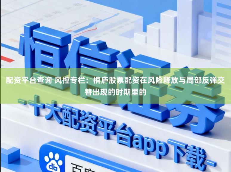 配资平台查询 风控专栏：桐庐股票配资在风险释放与局部反弹交替出现的时期里的