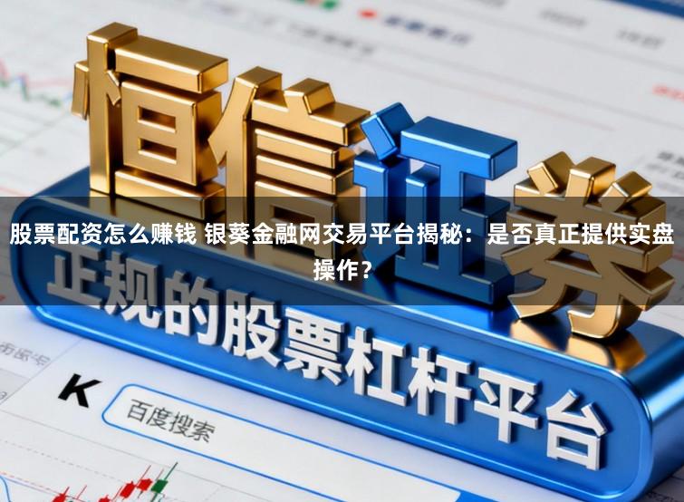 股票配资怎么赚钱 银葵金融网交易平台揭秘：是否真正提供实盘操作？